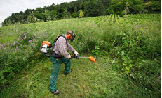 STIHL - Decespugliatori spalleggiati